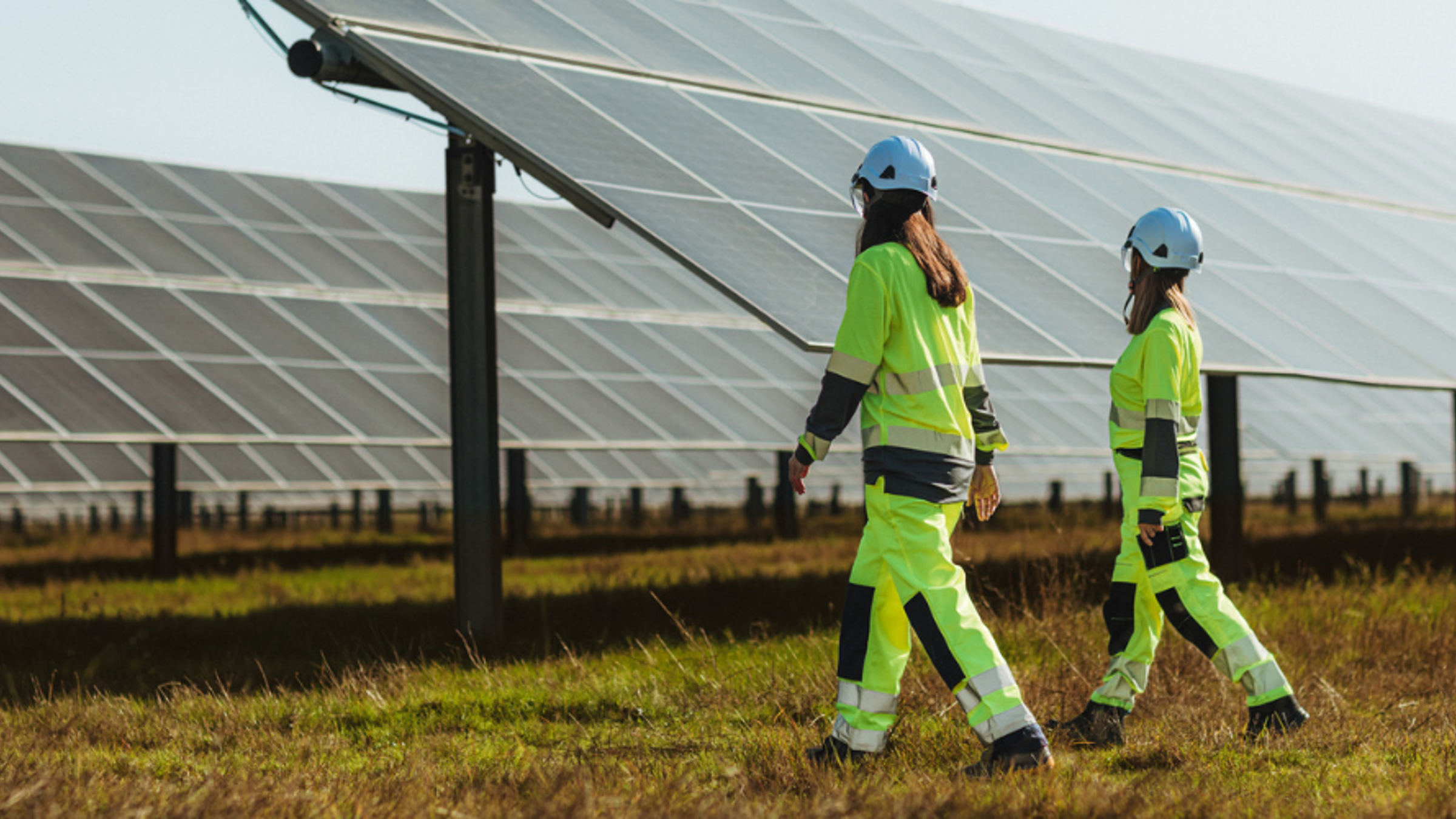 Workers walking in front of solar panels