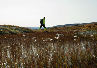 Man in distance walking across hills