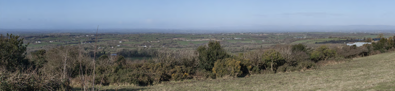 Pinewoods area
