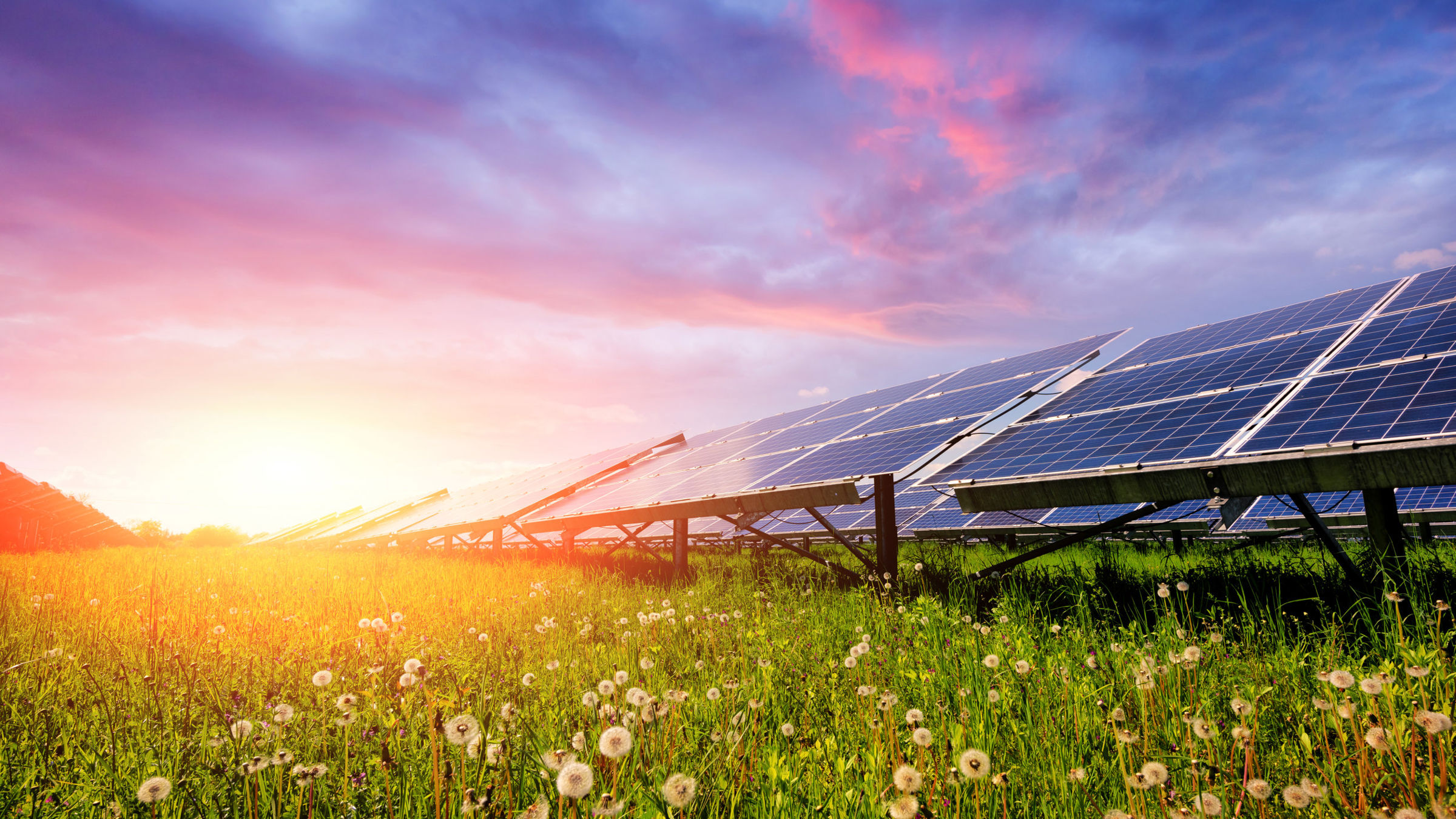 Solar panels on grass on a sunny day