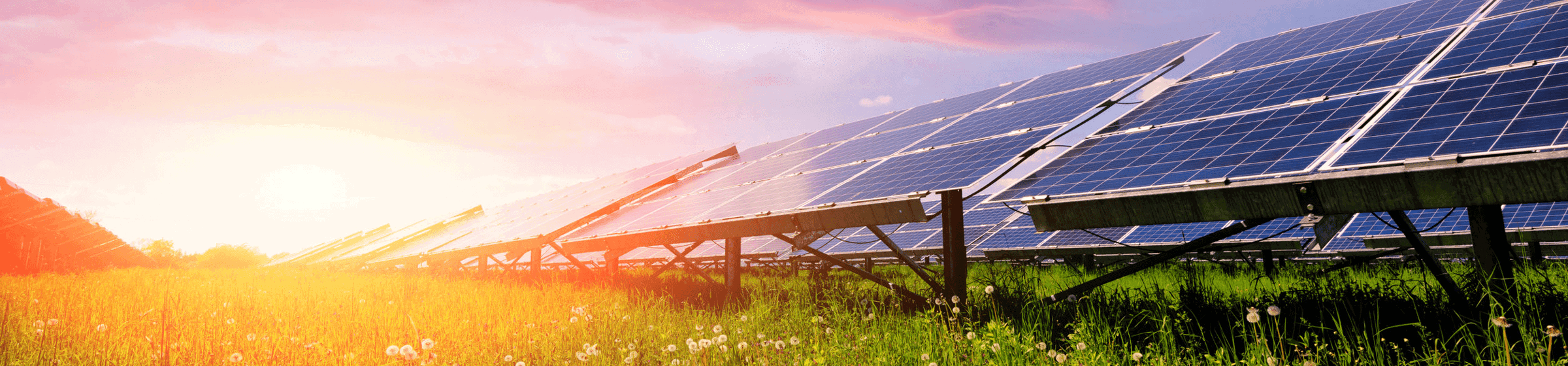 Solar panels at sunset