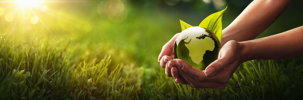 Hands cupped holding a green globe