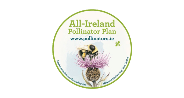 All Ireland Pollinator badge