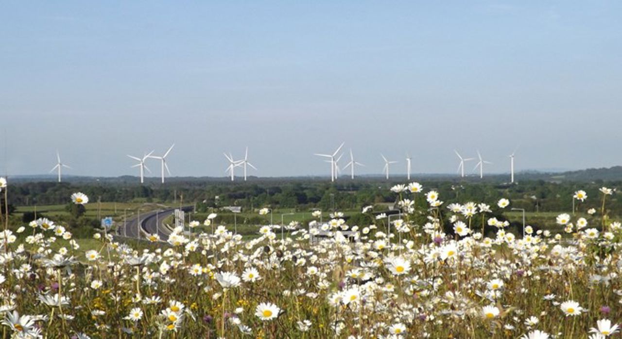 Wind Farm with daisies in foreground